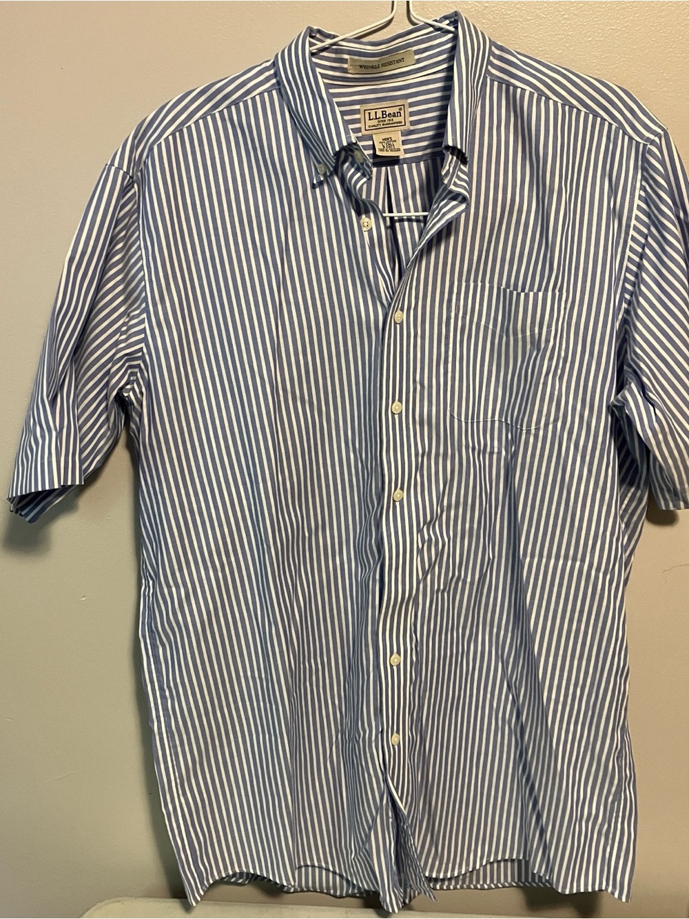 L.L. Bean Short-Sleeve Blue and White Vertical Stripe Button-Down Shirt